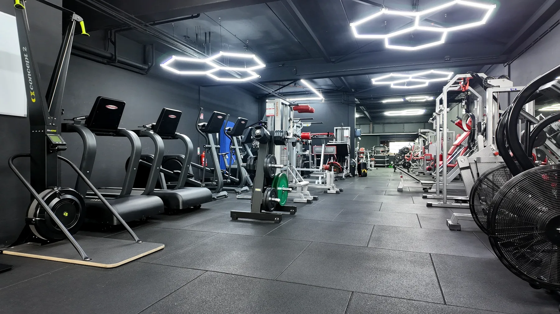 Cardio zone MOTIVATEDGYM